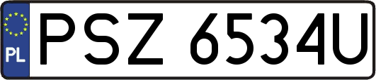 PSZ6534U