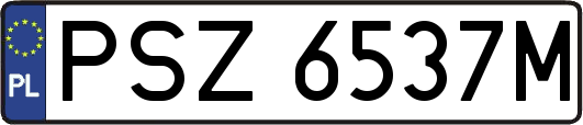 PSZ6537M