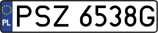 PSZ6538G