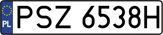 PSZ6538H