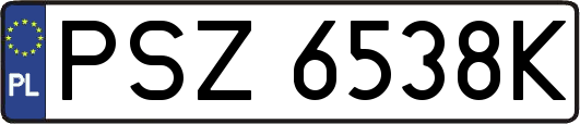 PSZ6538K