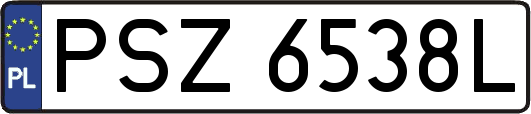 PSZ6538L