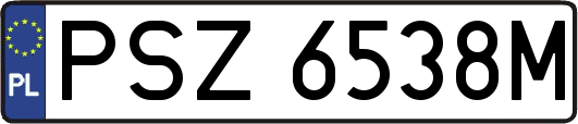 PSZ6538M