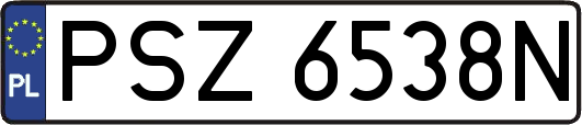 PSZ6538N