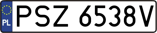 PSZ6538V