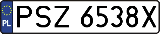 PSZ6538X