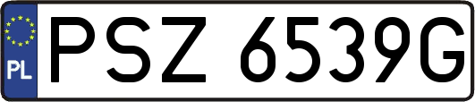 PSZ6539G