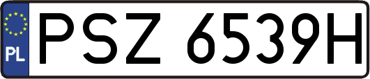 PSZ6539H