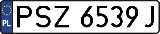 PSZ6539J