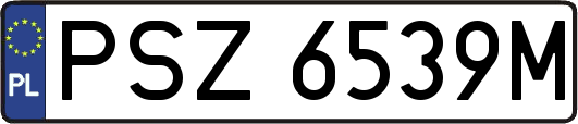 PSZ6539M