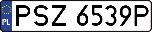PSZ6539P