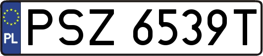PSZ6539T