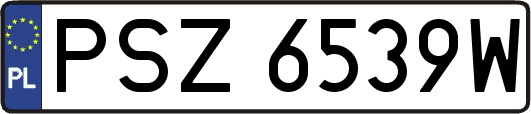 PSZ6539W