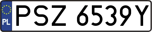 PSZ6539Y