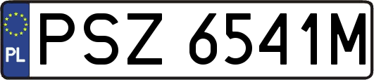 PSZ6541M
