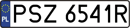 PSZ6541R