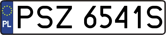 PSZ6541S