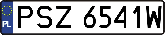 PSZ6541W