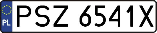 PSZ6541X