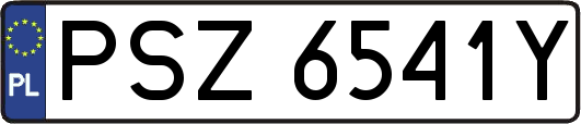 PSZ6541Y