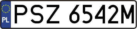 PSZ6542M