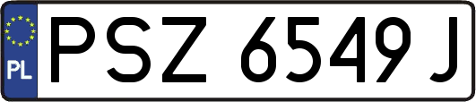 PSZ6549J
