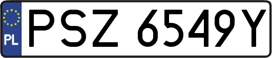 PSZ6549Y