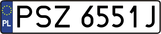 PSZ6551J