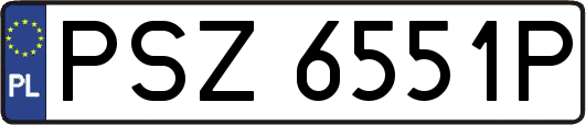 PSZ6551P