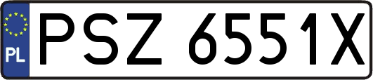 PSZ6551X