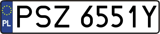 PSZ6551Y