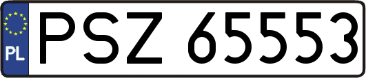 PSZ65553