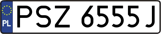 PSZ6555J