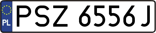PSZ6556J