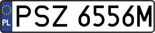 PSZ6556M