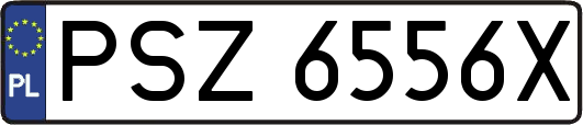 PSZ6556X