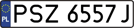 PSZ6557J