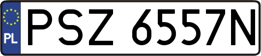 PSZ6557N