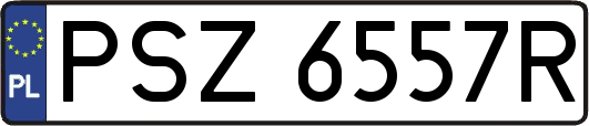 PSZ6557R