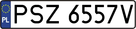 PSZ6557V