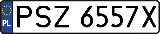 PSZ6557X