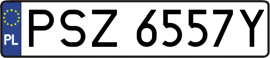 PSZ6557Y