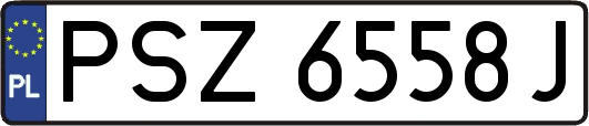 PSZ6558J