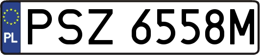 PSZ6558M