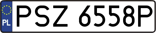 PSZ6558P