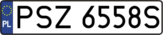 PSZ6558S