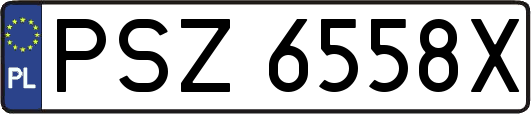 PSZ6558X