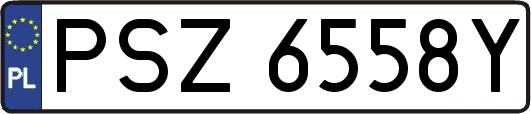 PSZ6558Y