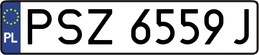 PSZ6559J