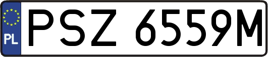 PSZ6559M